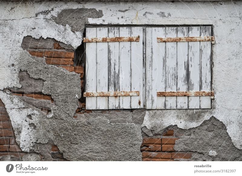 old closed shutters with flaking white lacquer and rusty hinges in brick facade with partly missing plaster that have seen better days ;old folding shutter Old