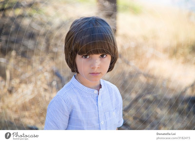 Lonely little boy in the forest Beautiful Summer Child Masculine Infancy 3 - 8 years Autumn Forest Shirt Wait Loneliness 4 years blur Brown eyes brown hair