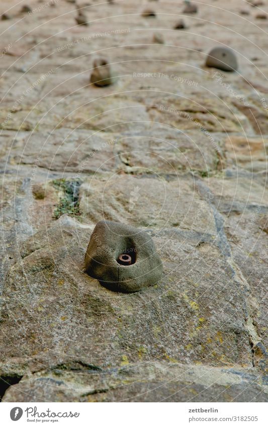 bouldering wall Mountain Elbsandstone mountains Relaxation Rock Vacation & Travel Autumn Hohenstein Landscape Saxon Switzerland Hiking Climbing Bouldering