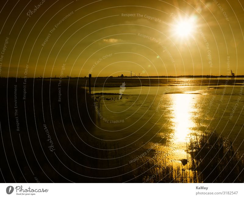 It will be night before Nordenham Nature Landscape Water Sky Sun Sunrise Sunset Summer Coast River Weser Mud flats Low tide Tide Germany North German Europe