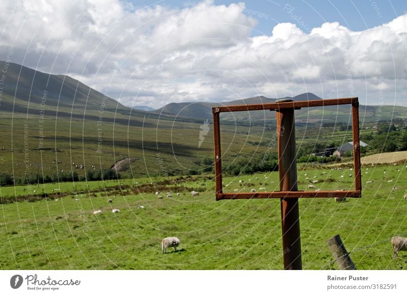 Green spaces: Travelling through Ireland Far-off places Summer vacation Hiking Environment Grass Meadow Hill Deserted Lanes & trails Sheep Group of animals Herd