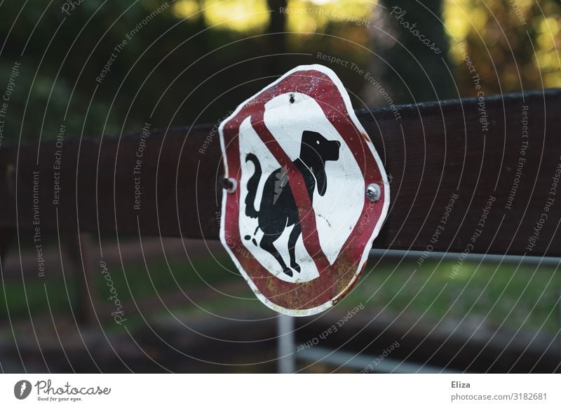 Dogshit forbidden Sign Bans Signs and labeling dog keeping Feces Uninvited heap of dogs dog's loo Excretion Forest Nature Playground Colour photo Exterior shot