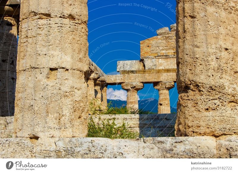 The greek Temple of Athena. Paestum, Italy Vacation & Travel Tourism Art Culture Park Ruin Architecture Stone Old Religion and faith Poseidonia Acropolis Greek