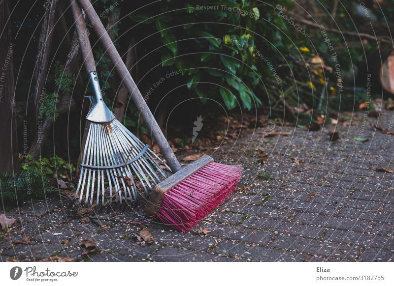 rake and sweep Garden Work and employment Gardening Leaf Rake Sweep Broom Gardening equipment Sidewalk Gardener Arrangement Colour photo Exterior shot Deserted