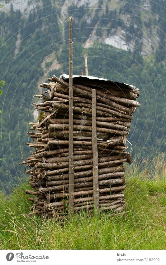 stack of wood Environment Nature Landscape Alps Mountain Green Wood Stack of wood Heat Heating Warm period Heating by stove Fire Firewood Fuel Colour photo