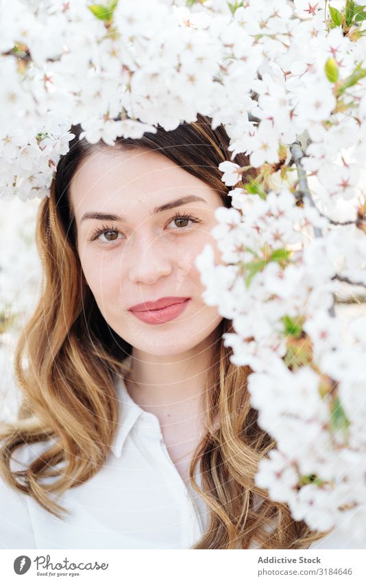 Beautiful woman amidst white flowers Woman Tree Blooming Branch of business Spring White Flower Smiling Garden Youth (Young adults) Blossom Plant Aromatic Scent