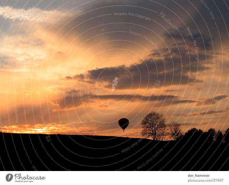 to the ends of the earth Clouds Tree Hot Air Balloon Bushes Sunset Sky Dusk