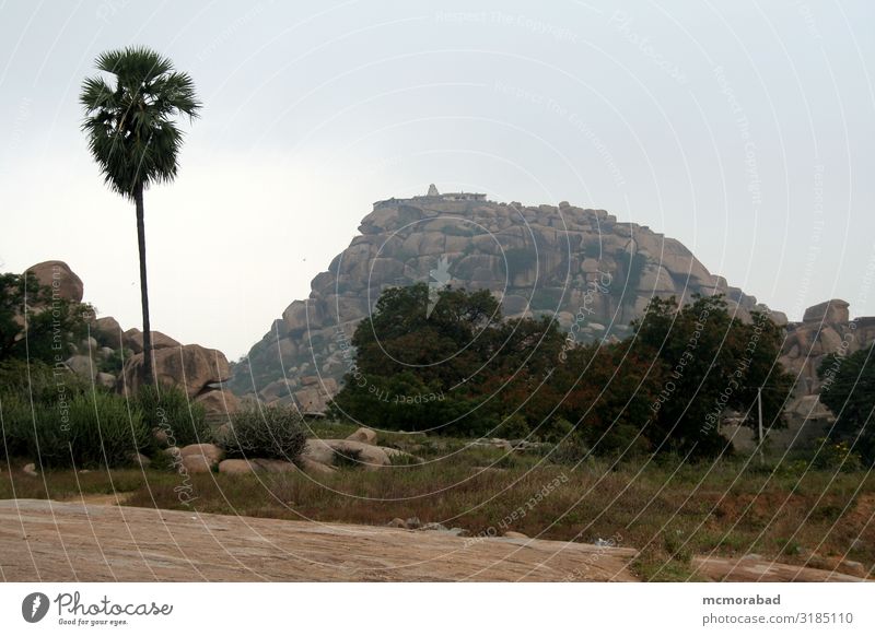 Trees and Rocky Hill Mountain Landscape Plant Sky Clouds Leaf Stone Gray Green Stone block rock-strewn Stony Temple place of worship holy place Shrine atop