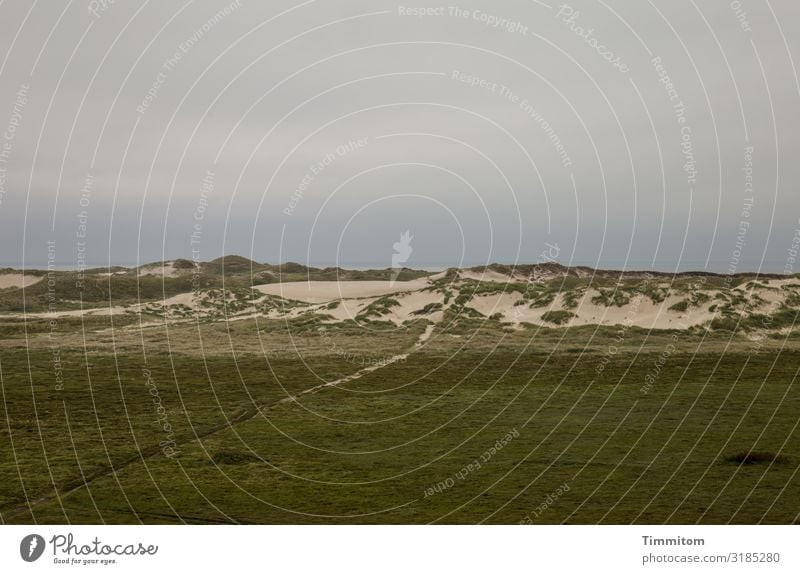 Way to the North Sea Vacation & Travel Environment Nature Landscape Plant Sky Clouds Weather Bad weather Dune Denmark Lanes & trails Dark Natural Brown Gray