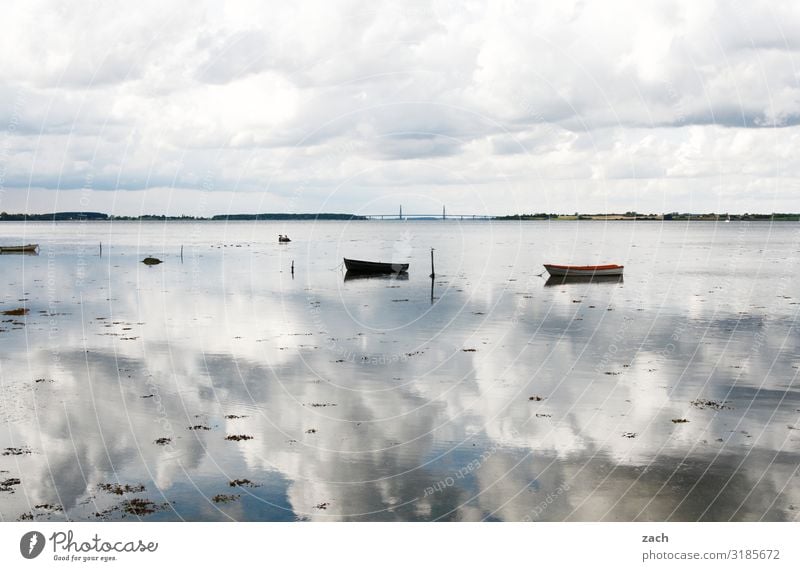 farsighted | 100% cloudy Landscape Water Sky Clouds Coast Lakeside Fjord Baltic Sea Ocean Island Denmark Boating trip Fishing boat Rowboat Swimming & Bathing