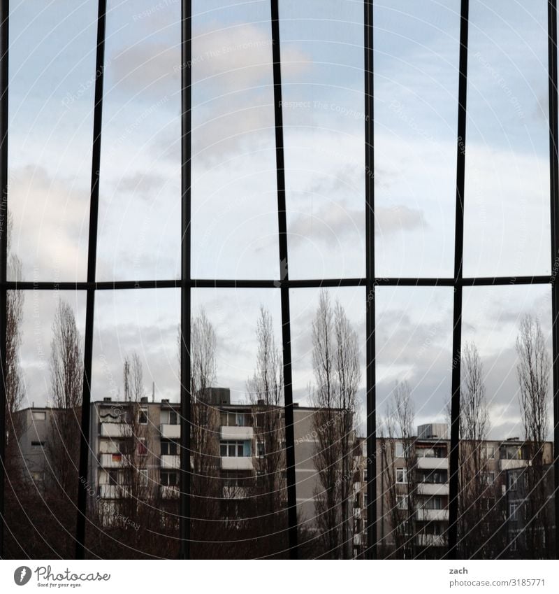 Berlin Avenue Sky Clouds Tree Town Capital city Downtown Outskirts Populated House (Residential Structure) High-rise Building Wall (barrier) Wall (building)