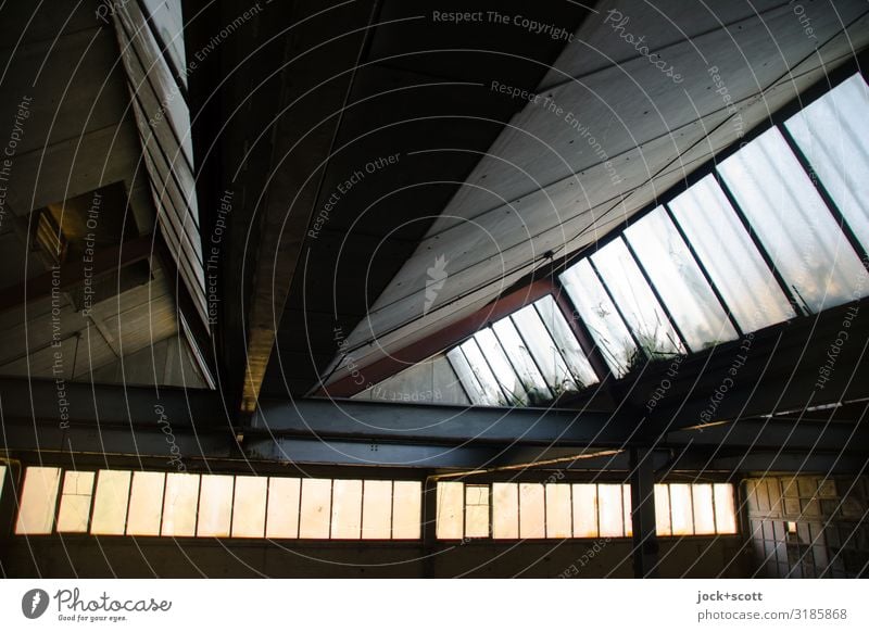 under the abandoned hall roof lost places Ruin Hall Roof Glazed facade Symmetry Past GDR Ravages of time Shaft of light Derelict Structures and shapes Shadow