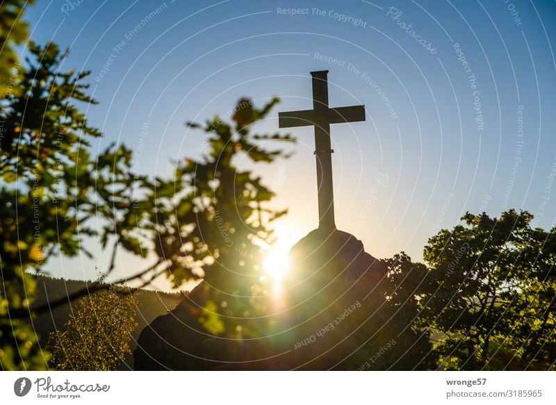 Sunset at the Ilsestein Landscape Sky Cloudless sky Sunrise Sunlight Beautiful weather Tree Rock Mountain Harz Stone Metal Sign Crucifix Historic Tall Above