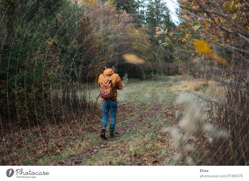 A man walking alone in the woods Human being To go for a walk Young man Self-isolation Youth (Young adults) Man Adults by oneself 18 - 30 years