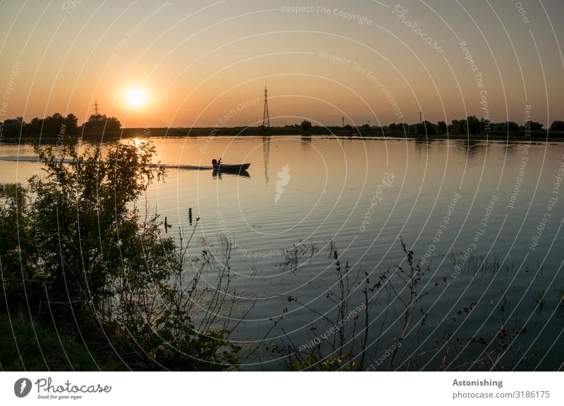 Evening in the Danube Delta Energy industry Environment Nature Landscape Plant Water Sky Night sky Sun Sunrise Sunset Sunlight Summer Bushes River bank