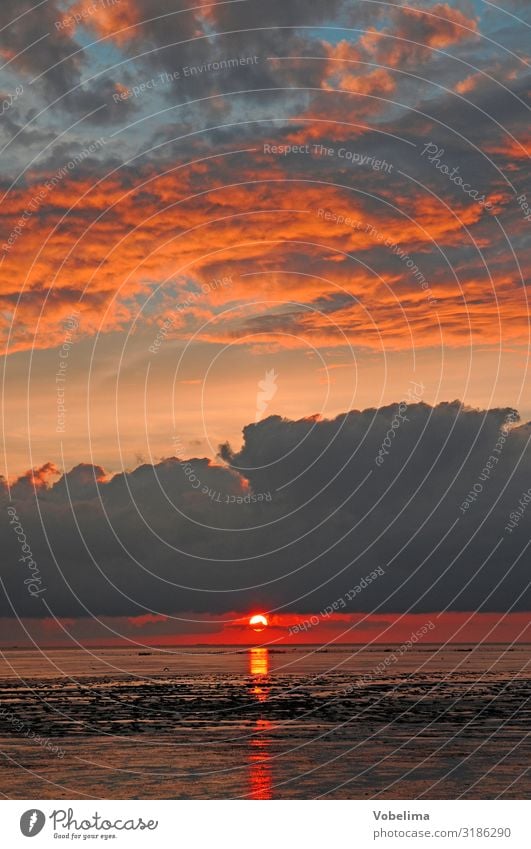 Evening at the mudflat Sun Ocean Waves Landscape Water Clouds Sunrise Sunset Coast North Sea Blue Multicoloured Gold Gray Orange Pink Red Black Mud flats as of