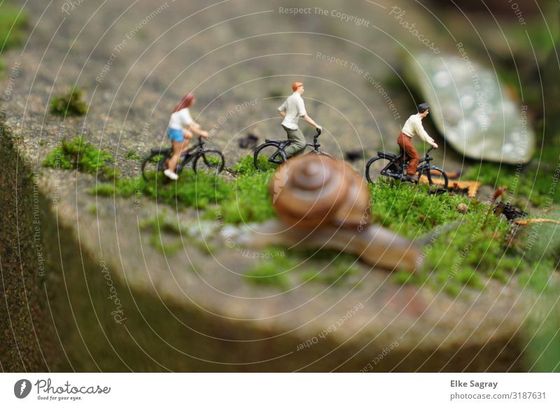 Miniature Worlds Snails _Cycling Race Human being Masculine Feminine 1 Animal Sports Fitness Joy Colour photo Exterior shot Copy Space top Neutral Background