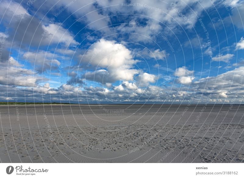 Wide beach with clouds in front of a blue sky Vacation & Travel Nature Landscape Sky Clouds Horizon Climate Weather Beautiful weather Coast Beach Infinity Blue