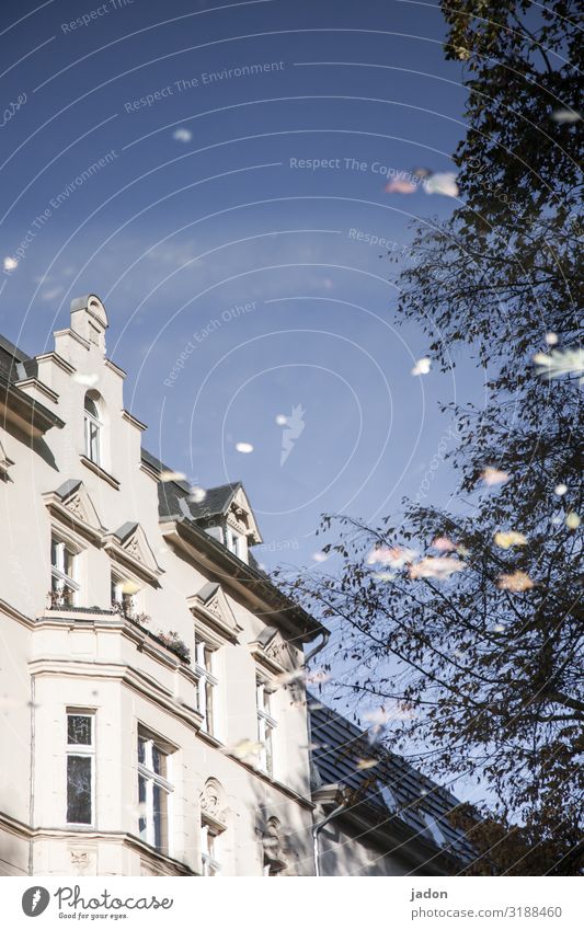 sunken. Architecture Nature Sky Beautiful weather Tree River bank Town Deserted House (Residential Structure) Building Facade Transience Change Go under