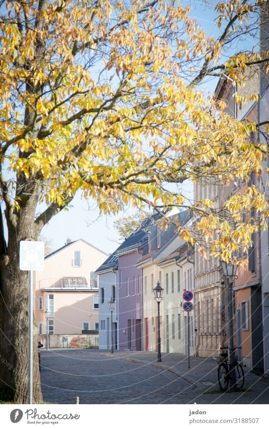 empty streets (3). Calm Meditation Cycling Plant Beautiful weather Tree Brandenburg an der Havel Town Old town Deserted House (Residential Structure) Facade