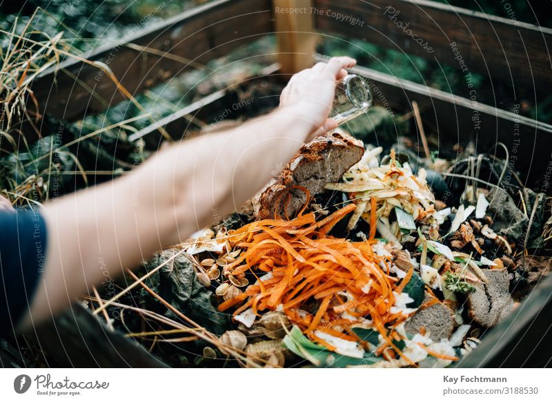 human hand pouring water on organic compost heap agriculture biological bionomics bread carrots composting conservation decay decompose dump eco-friendly