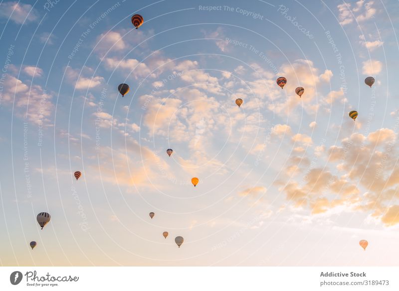 Hot air balloons against sunset sky Hot Air Balloon Festival Sunset Sky Clouds Flying Cappadocia Turkey Vacation & Travel Adventure Transport Trip Landscape