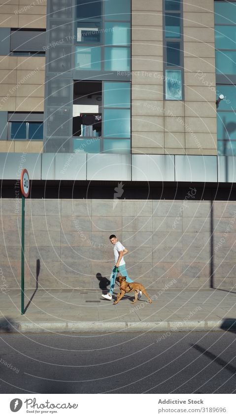 Man running and playing with his dog Boxer in a park Action Animal Dog Cute Domestic Friendship Joy Funny Grass Guy Happy Lifestyle Nature Exterior shot owner