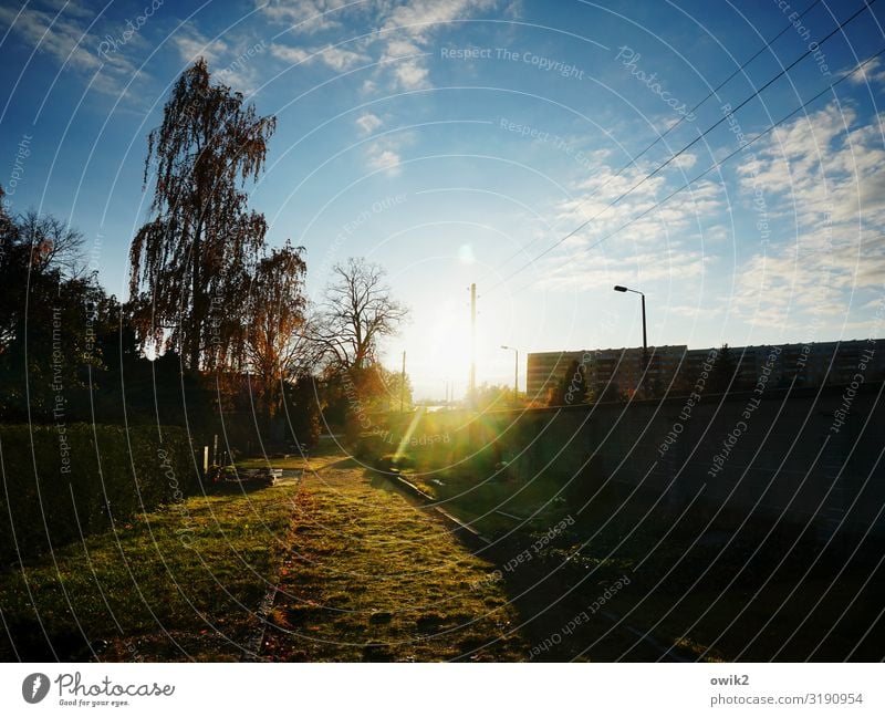 St. Mary's Environment Plant Sky Clouds Horizon Sun Autumn Beautiful weather Tree Grass Cemetery Bautzen Building Wall (barrier) Wall (building) Street lighting