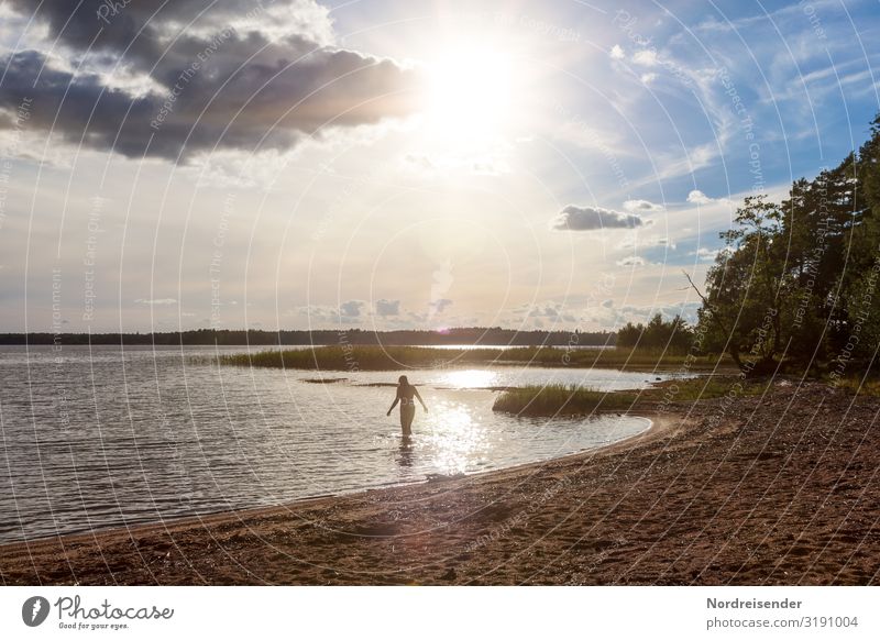 Warmth of last summer Silhouette Contrast Shadow Light Copy Space bottom Subdued colour Colour photo Exterior shot Scandinavia Swede Ease Happiness Joy Idyll