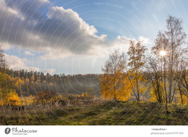 autumn landscape Environment Nature Landscape Plant Sky Clouds Autumn Tree Grass Meadow Forest Blue Yellow Gold Green Orange Autumnal solar star Fog