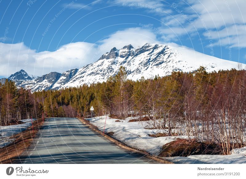 Spring in Lofoten Vacation & Travel Tourism Adventure Freedom Mountain Nature Landscape Climate Beautiful weather Snow Tree Forest Rock Peak Snowcapped peak