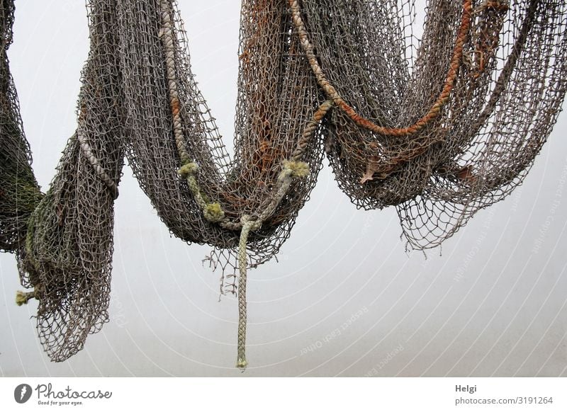 old fishing net with ropes hanging on a white wall Wall (barrier) Wall (building) Decoration Fishing net Net To hold on Hang Old Exceptional Historic Uniqueness