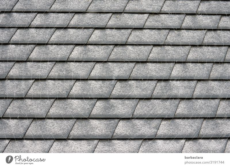 snow pattern Winter Snow Roof Roofing tile Line Stripe Gray Black White Design Climate Arrangement Protection Subdued colour Exterior shot Close-up Detail