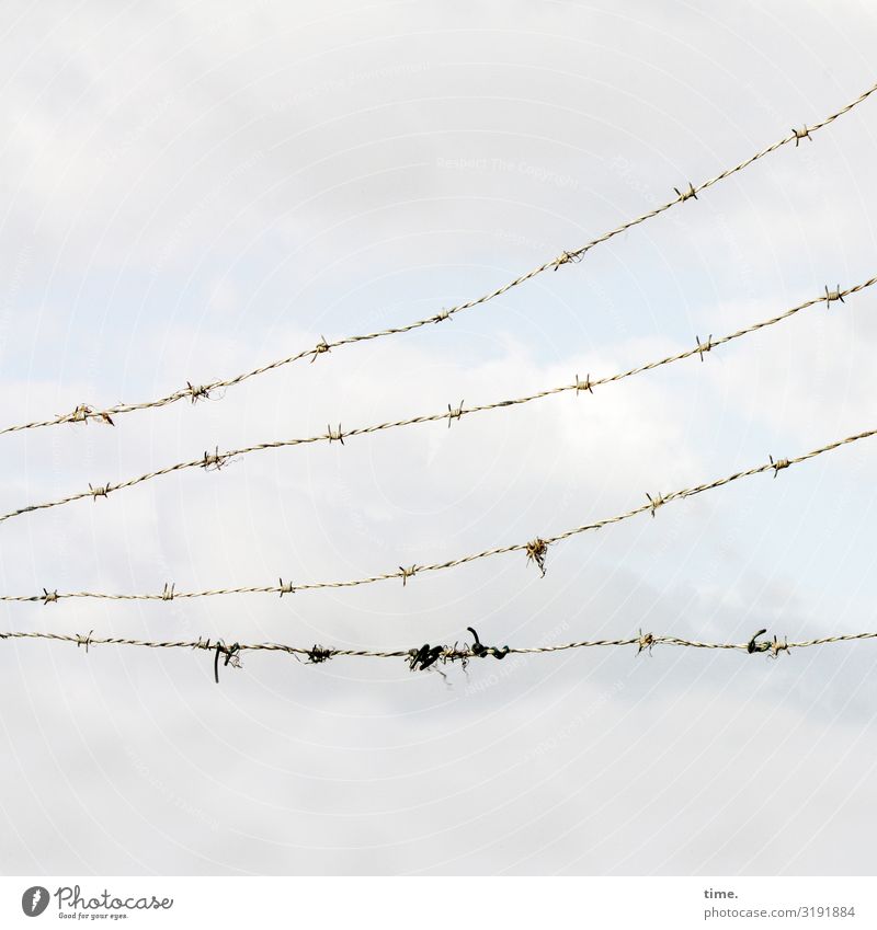 Stories of the fence (XLVI) Sky Clouds Barbed wire Barbed wire fence Line Exceptional Creepy Broken Thorny Safety Protection Watchfulness Flexible Life