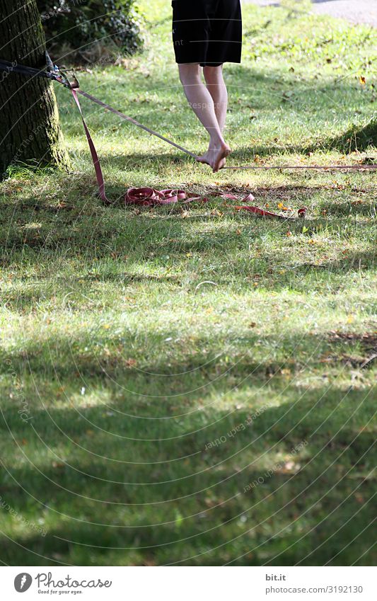 Two legs barefoot walking on a rope, tied to a tree, outdoors in the garden or park. Leisure and hobbies Sports Fitness Sports Training Human being Legs Feet