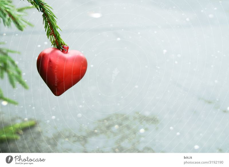 Red Christmas tree pendant in the shape of a heart, hangs on a green fir branch in light snowfall, against a light grey background. Christmas decoration bleak, sparse, recycled. Dull, broken, old Christmas tree stands outside in the garbage in the street.