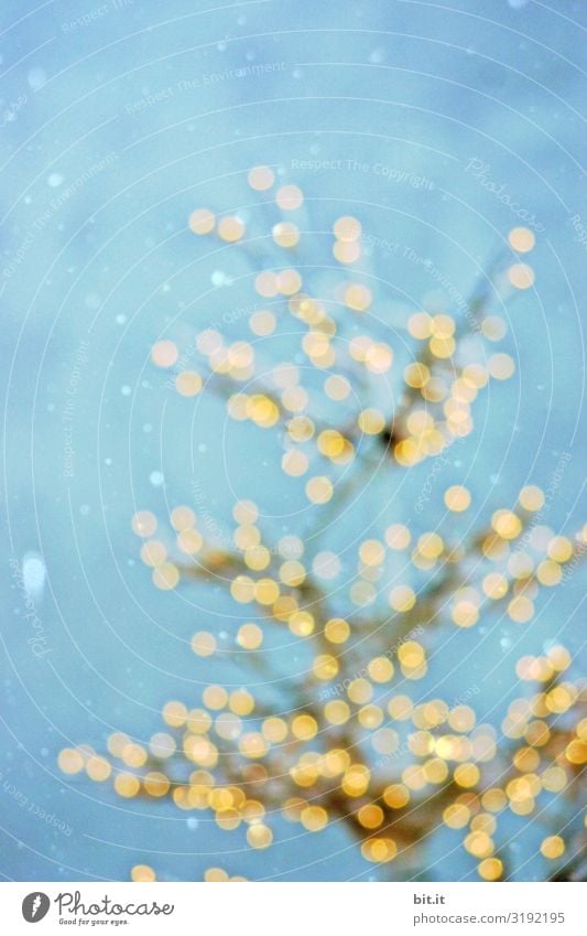 Blurred l Blurred Christmas tree with blurred light spots in the snowfall before a blue sky. Christmas tree with many blurred Christmas tree balls in gold in the snow. Christmas in twilight, with bright yellow balls as decoration, ornamentation.