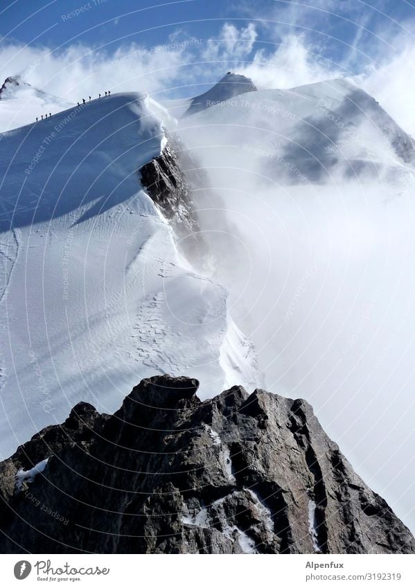 Black horn from above Climate Climate change Beautiful weather Ice Frost Snow Hill Rock Alps Mountain Monte Rosa Peak Snowcapped peak Glacier Cool (slang) Tall