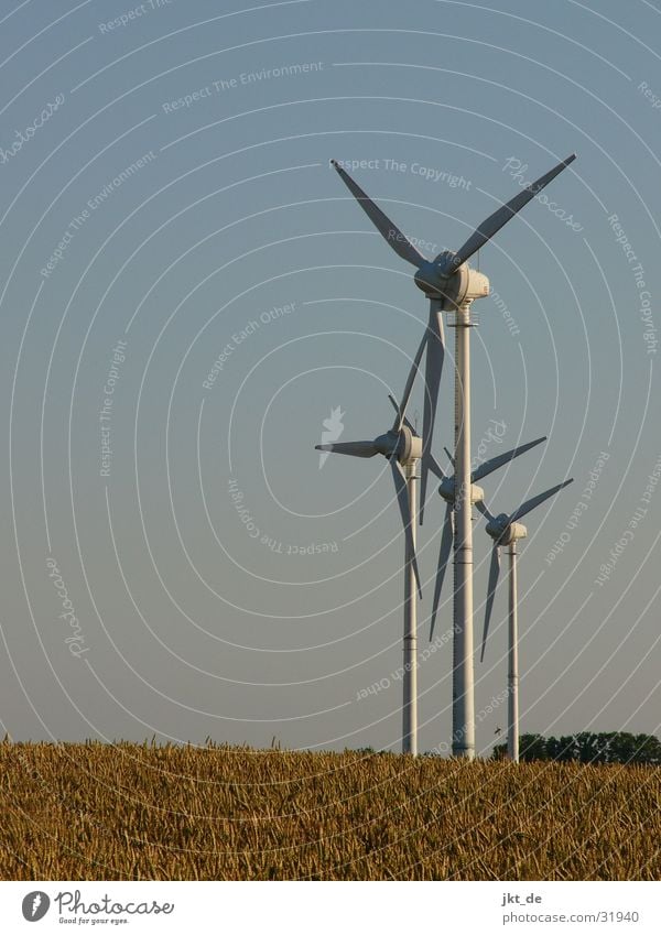 windmill quattro 1 Electricity Alternative Summer Cornfield Mecklenburg-Western Pomerania Wind energy plant Energy industry