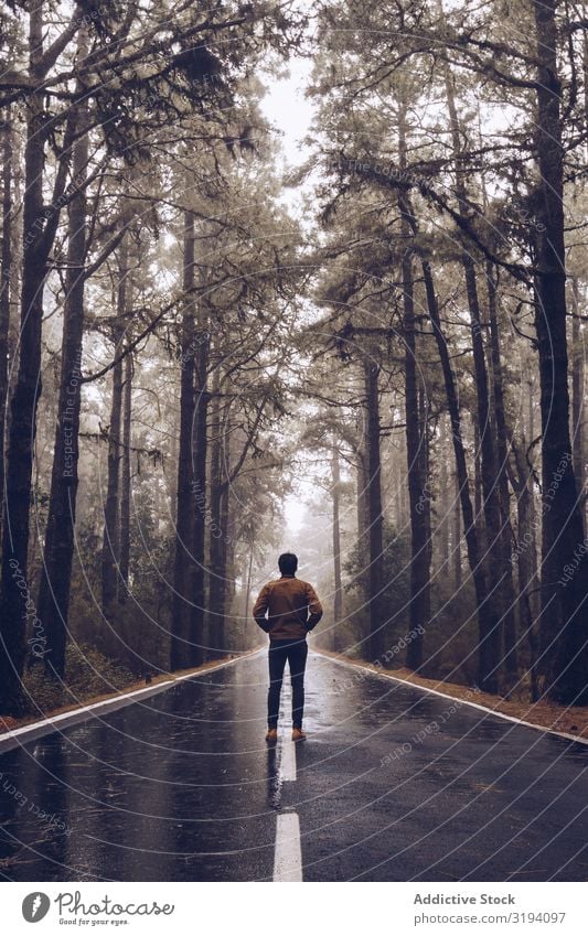 Traveler walking on empty road in woods traveler Street Forest Backpack Landscape Hiking Remote Fog Empty hiker Spain Tenerife roadway Calm Walking tranquil