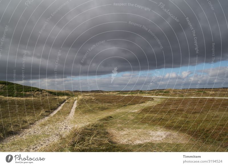 Way with choice Vacation & Travel Environment Nature Landscape Plant Sky Storm clouds Weather Grass Dune Denmark Lanes & trails Threat Dark Natural Blue Brown