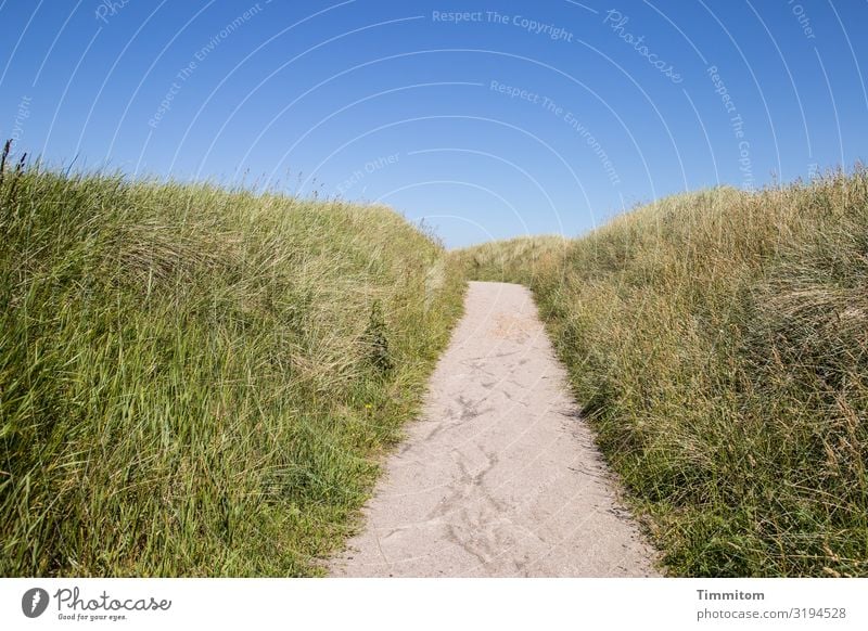 Way over the hill Vacation & Travel Environment Nature Landscape Plant Sand Sky Beautiful weather Grass Hill Dune Denmark Lanes & trails Esthetic Natural Blue