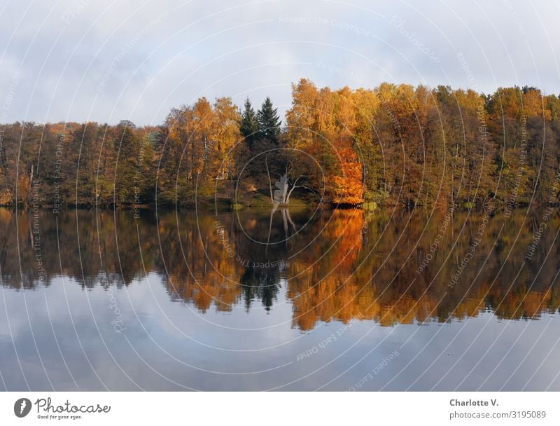 Brandenburg Autumn II Environment Nature Landscape Plant Elements Water Sky Beautiful weather Tree Lakeside liepnitzsee Illuminate Esthetic Friendliness Natural