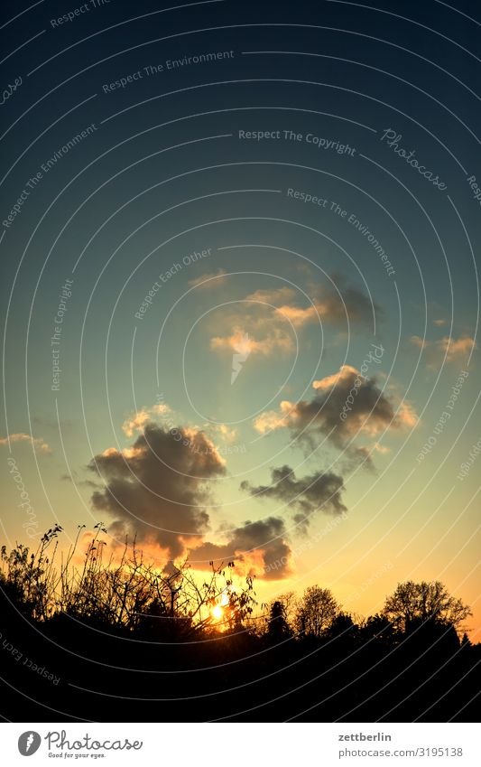 Clouds in the evening Dusk Branch Tree Twilight Closing time Vacation & Travel Garden Autumn Sky Heaven Garden plot Garden allotments Deserted Nature Plant Calm