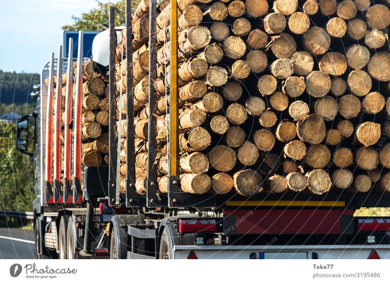 Wood transport. Beverage Environment Nature Landscape Plant Tree Highway Esthetic Logistics Tree trunk Logging trucks Colour photo Exterior shot