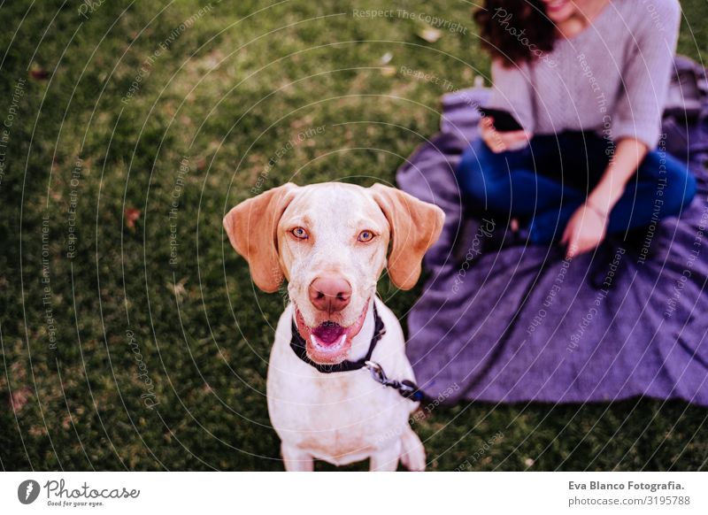 young woman with her dog at the park. woman using mobile phone. autumn season Portrait photograph Woman Dog Park Youth (Young adults) Exterior shot Love Pet