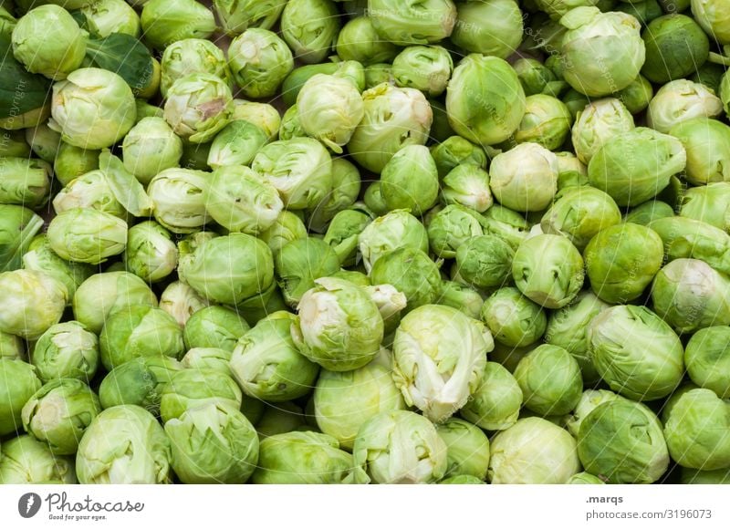 cabbage Food Vegetable Brussels sprouts Nutrition Organic produce Vegetarian diet Farmer's market Fresh Healthy Many Colour photo Exterior shot Close-up