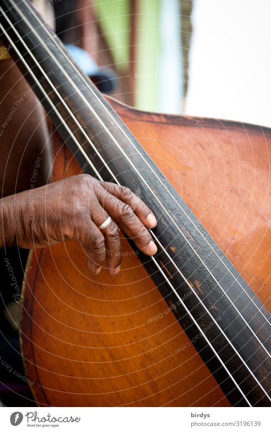 bass plucker Joy Make music Music Musician Masculine Grandfather Senior citizen Life Hand 1 Human being 60 years and older Double bass Cuban Authentic