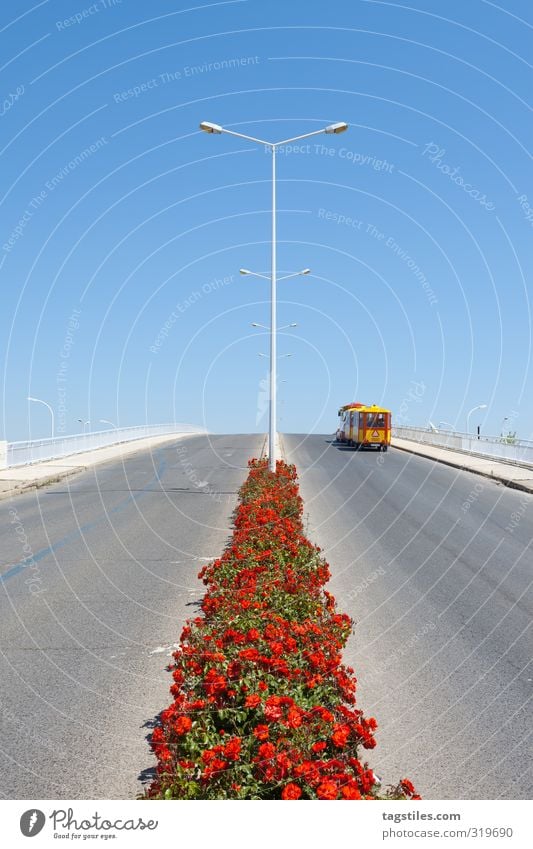 BIMMELIMMELIMM Portugal Algarve tavira Town Village Bridge Rose Narrow-gauge railroad Vacation & Travel Travel photography Idyll Card Tourism Paradise Heavenly