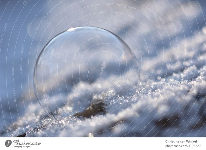 Soap bubble on snow Winter Ice Frost Snow Esthetic Exceptional Glittering Bright pretty Cold Kitsch Round Blue White Joy Happiness Uniqueness Creativity Ease